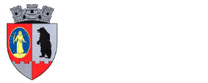 Primaria Agnita Logo
